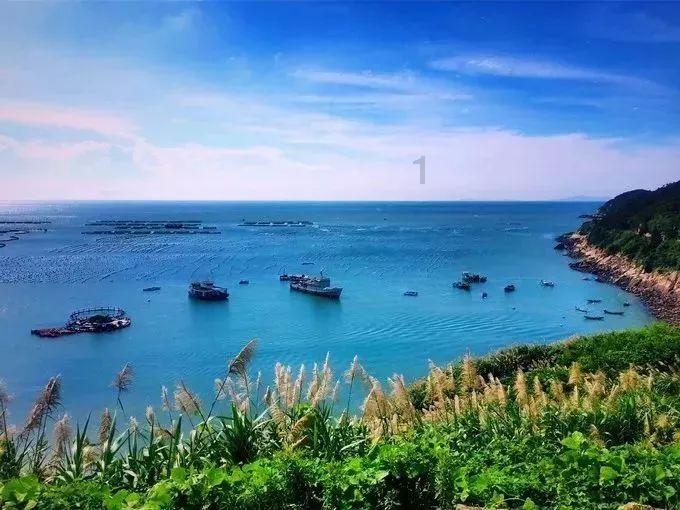 动物帮帮忙保卫家园